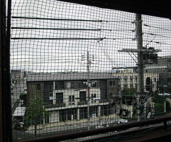 【コルザ河村】間取