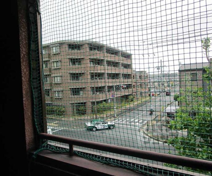 【コルザ河村】間取