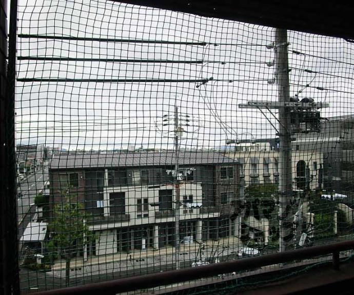 【コルザ河村】間取