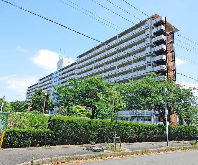 【ベルヴィタウン京都伏見（向島市営住宅９街区）】間取