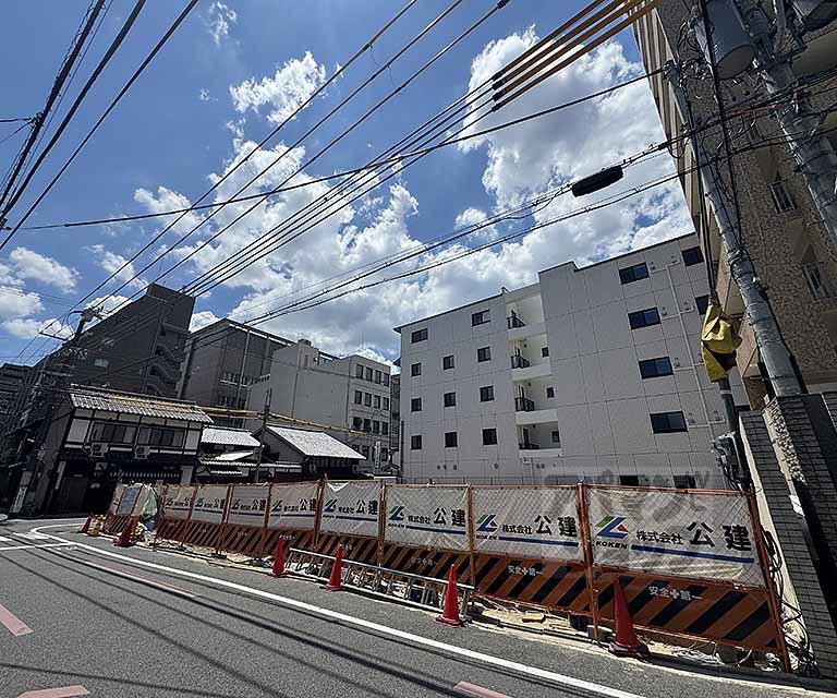 Vine Oak Rabbi(バインオーク ラビ)