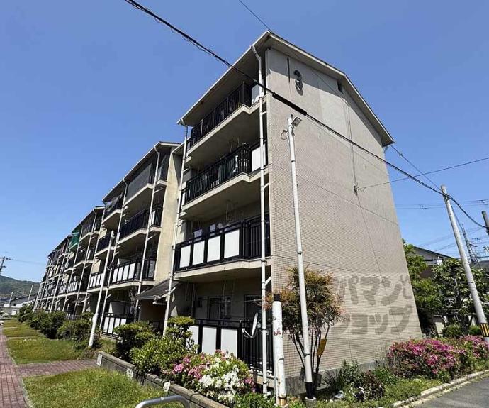 【蜂ヶ丘市営住宅】間取