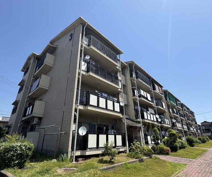 【蜂ヶ丘市営住宅】間取