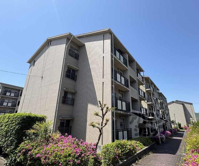 【蜂ヶ丘市営住宅】間取