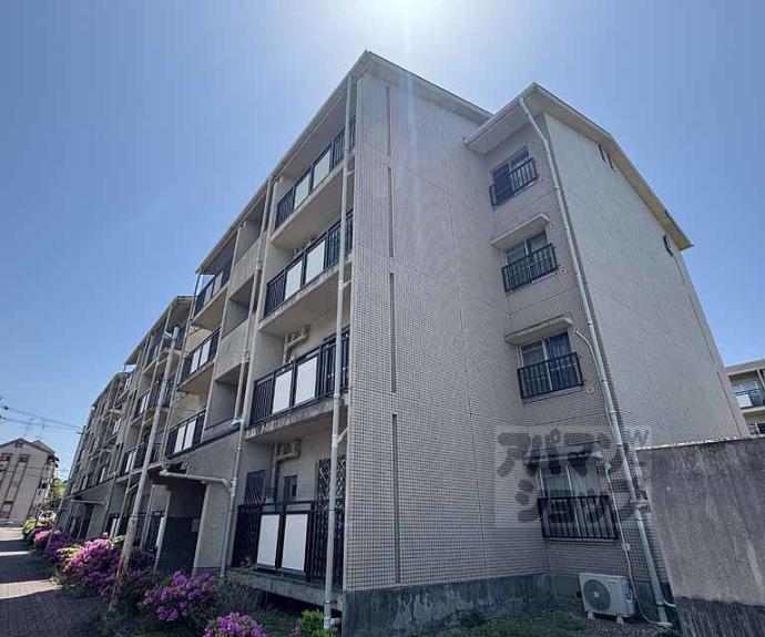 【蜂ヶ丘市営住宅】間取