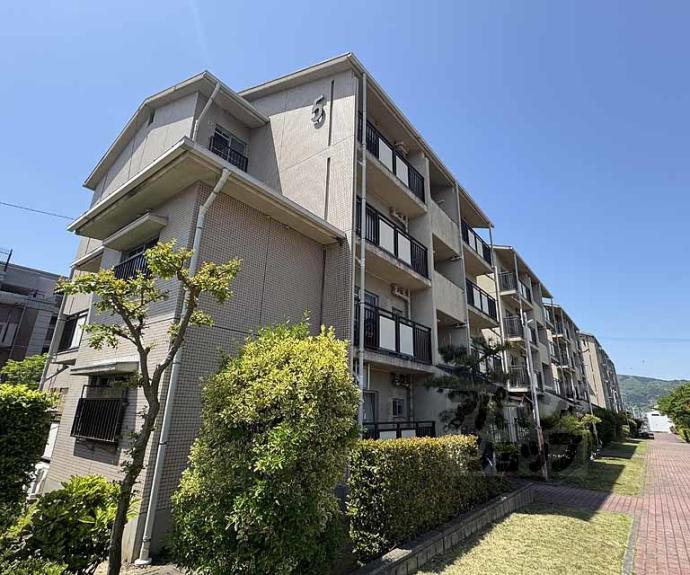 【蜂ヶ丘市営住宅】間取