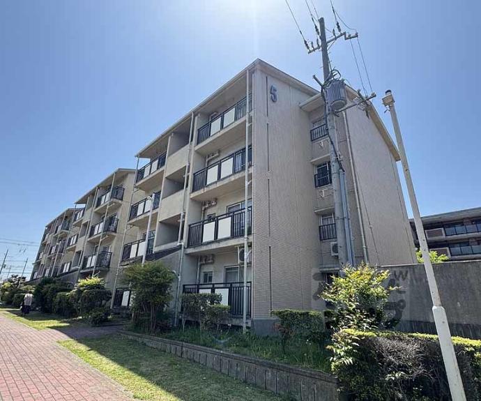 【蜂ヶ丘市営住宅】間取