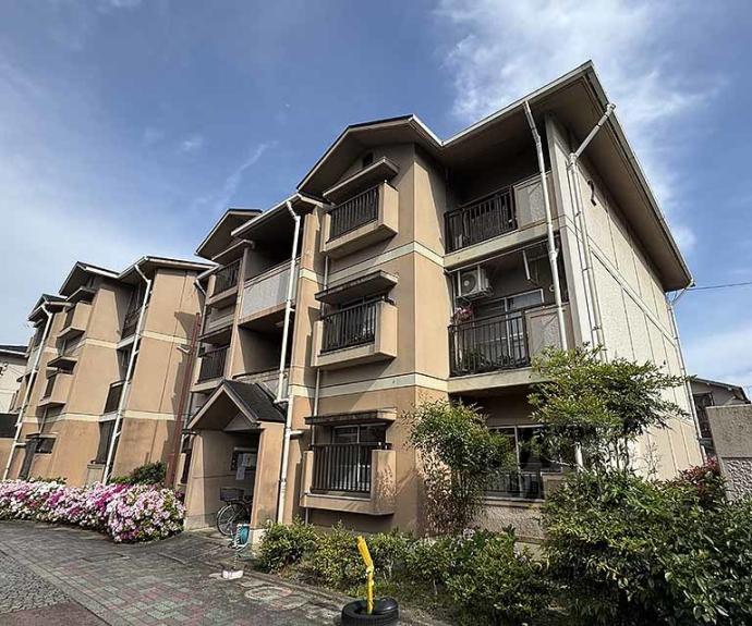 【大覚寺市営住宅】間取