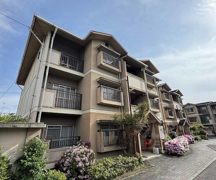 【大覚寺市営住宅】間取