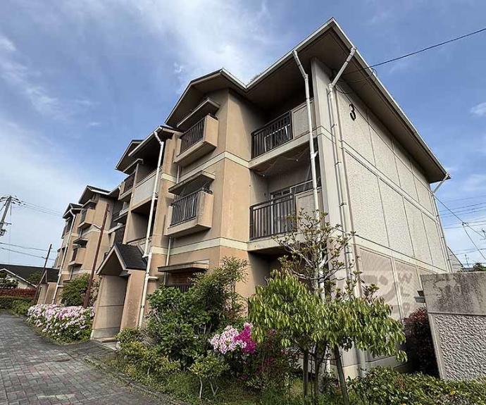 【大覚寺市営住宅】間取