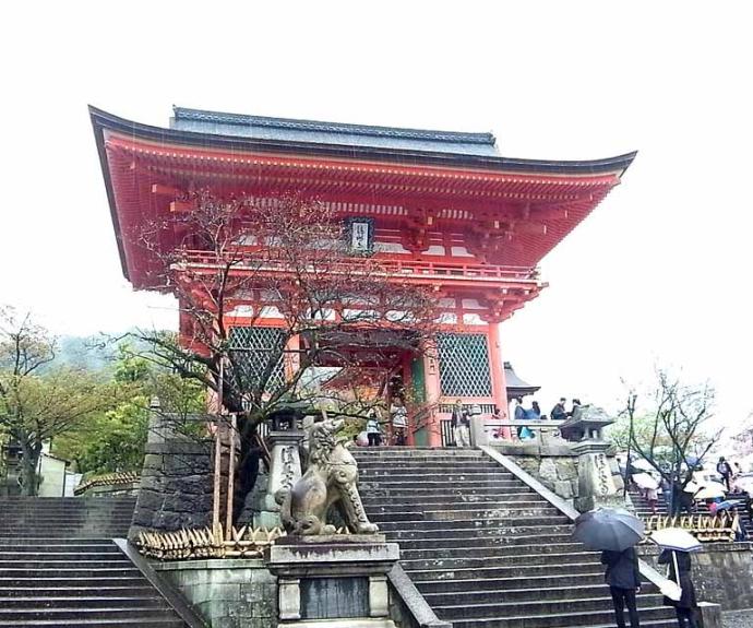 【ライオンズマンション高台寺】間取