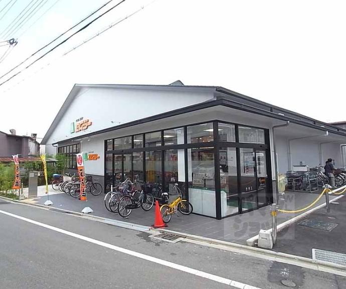 【南舟岡町貸家】間取