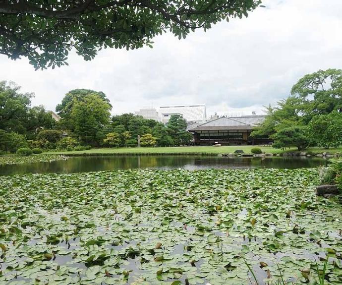 【ハイツ豊園】間取