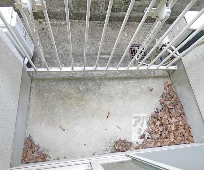 【コーポ牧】間取