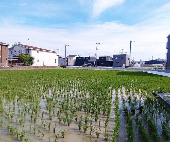 【ウエスト コミタリアⅢ】間取