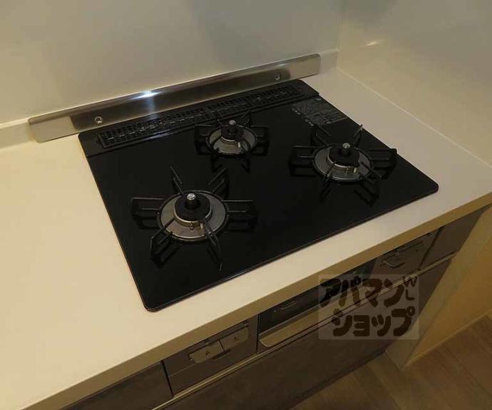 【ヴァンソレイユ二条】間取