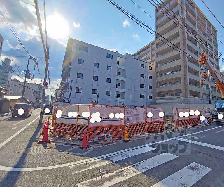 Vine Oak Rabbi(バインオーク ラビ)