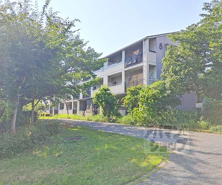 醍醐西市営住宅 8棟