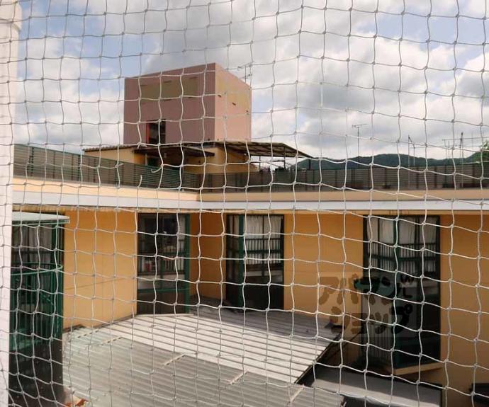 【ルネハイツ芝生】間取