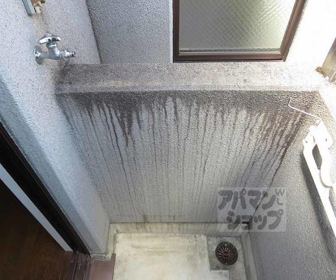 【フレグランス大宮】間取