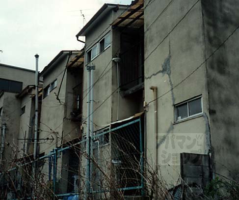 グレーシィ石山