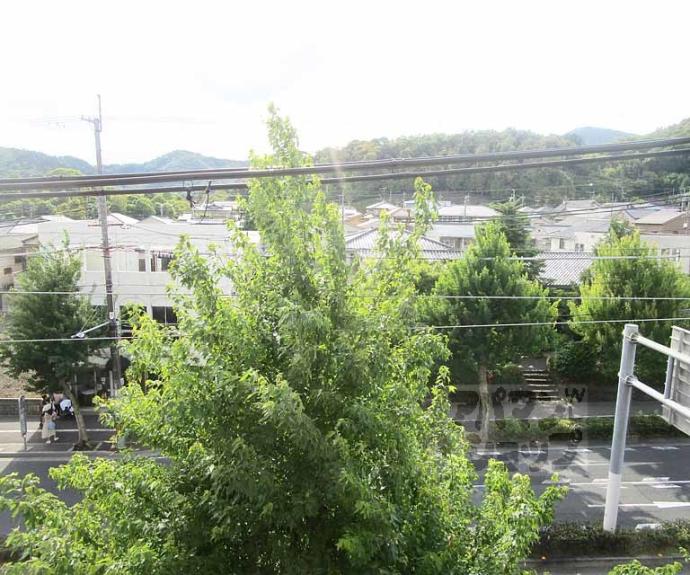 【リアライズ金閣寺】間取