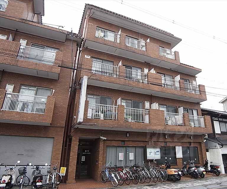 ヴィオーラ華洛