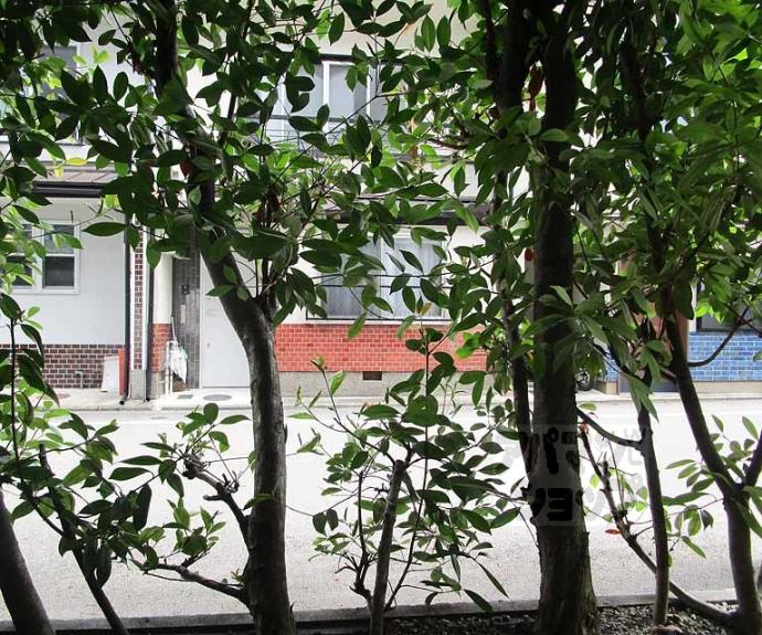 【りきゅうー7】間取