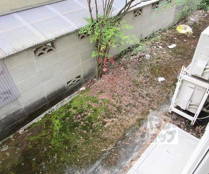 【ハイツグリンカ】間取