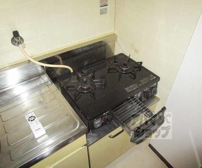 【ハイツグリンカ】間取