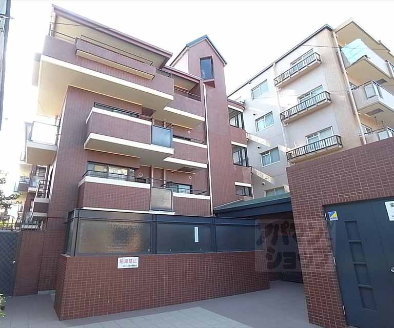 ルミエール紫野