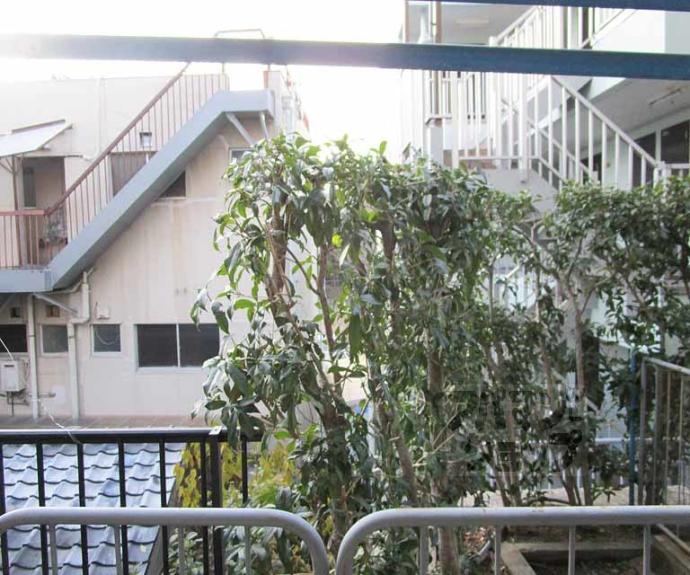 【幸楽ハイツ】間取