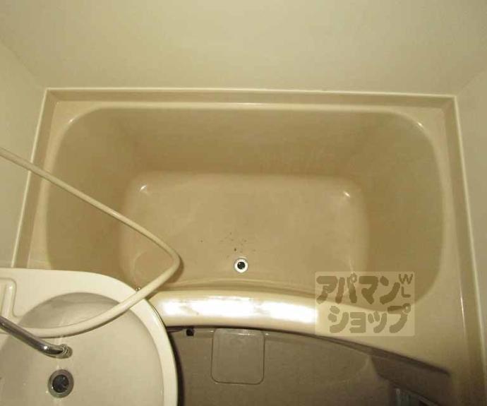 【トミーハイツ】間取