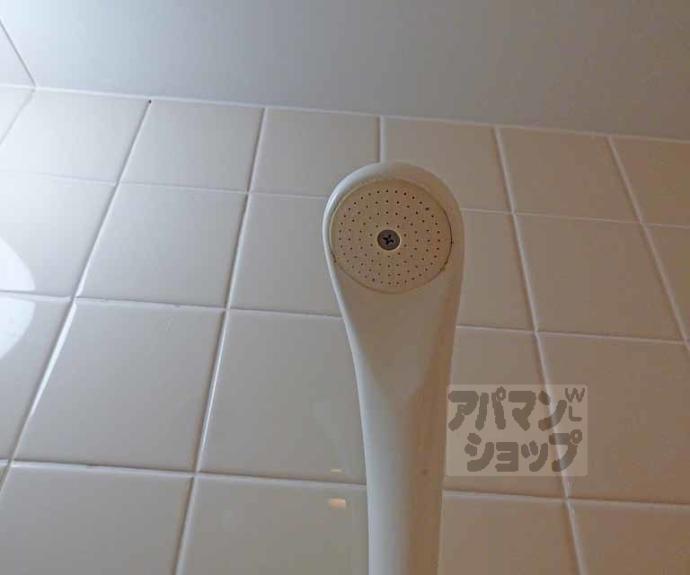 【ベルデュ-ル岩倉】間取