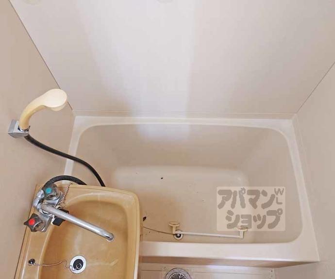 【向島スタジオフラッツ】間取