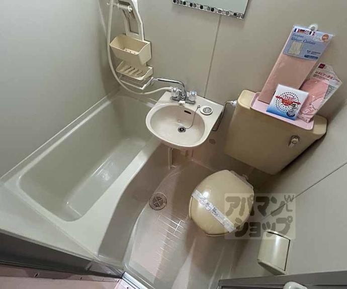 【パレス・ナタリ】間取