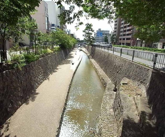 【サンレジデンス錦綾東堀川】間取