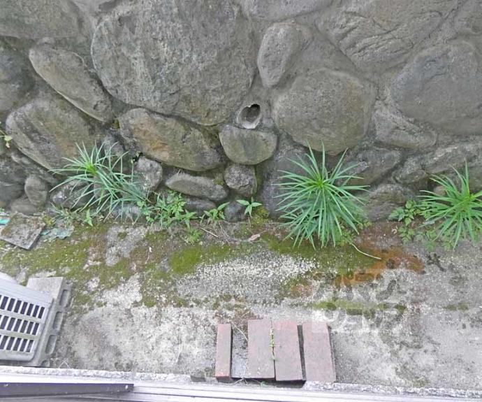 【中田マンション】間取