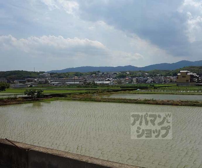 【川島三重町貸家】間取