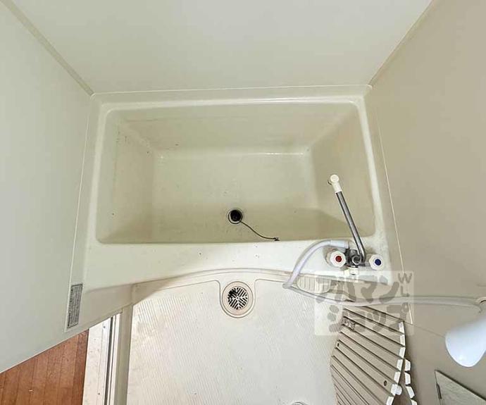 【シャイン蛸薬師】間取