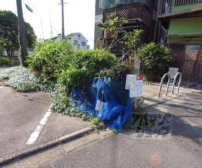 【メゾン春日野】間取