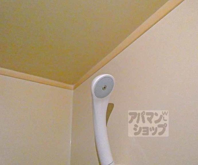 【アドニス】間取