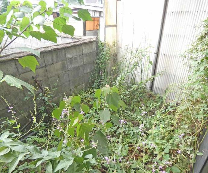 【岩倉長谷町テラス】間取