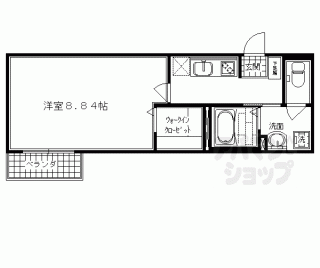 【ＲＯＨＪＩ　ＣＡＭＥＬＬＩＡ】