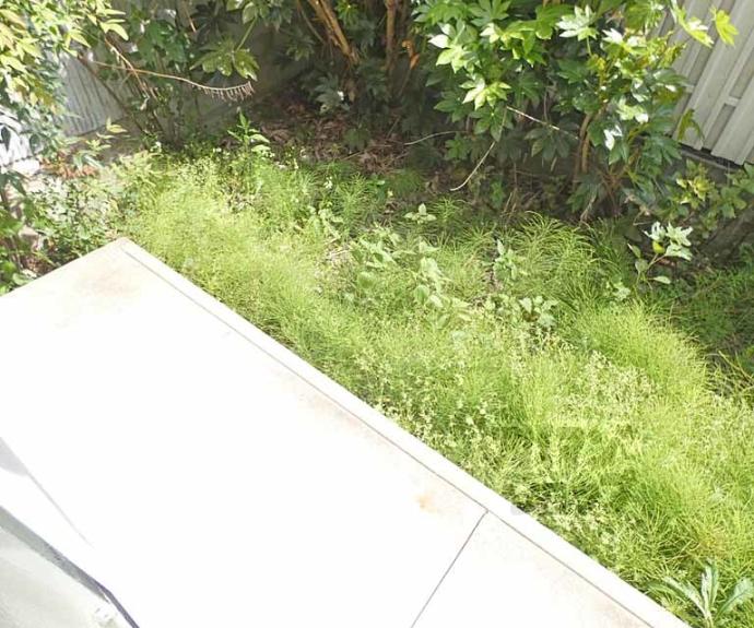 【メゾンタジマ】間取