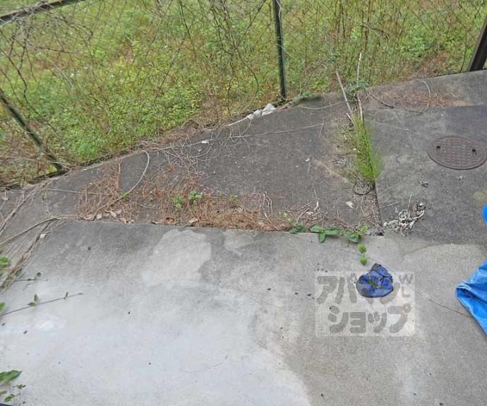 【ライブコート二軒茶屋】間取