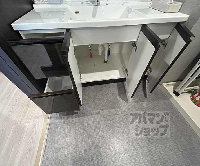 【パラドール太秦丸太町】間取